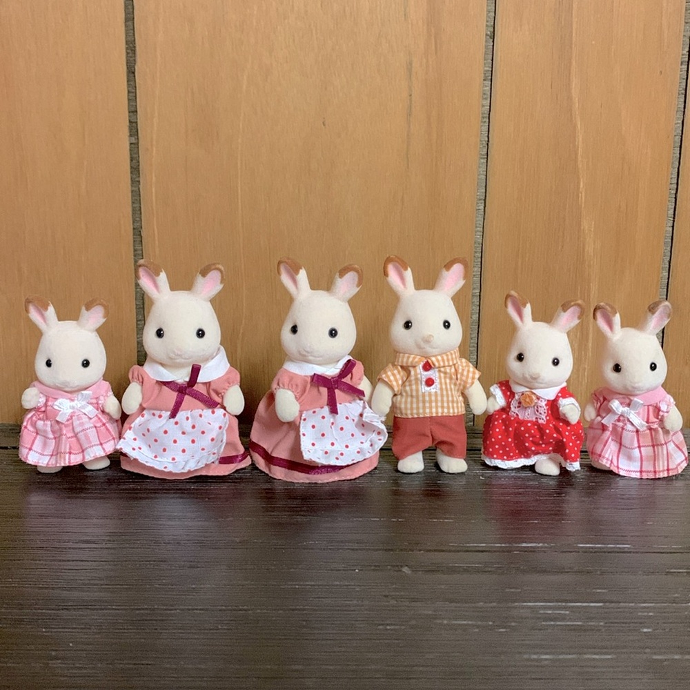 Set of 6 calico critters in good condition (WITH CLOTHES)